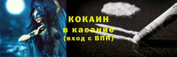 стаф Арсеньев