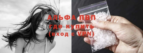 стаф Арсеньев