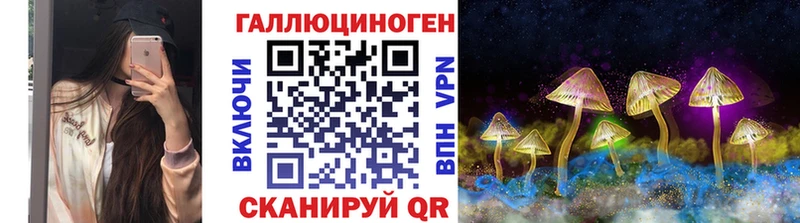 Псилоцибиновые грибы Cubensis  Усмань 